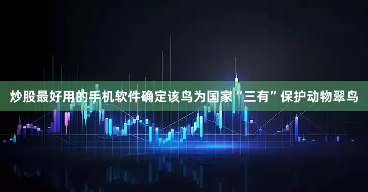 炒股最好用的手机软件确定该鸟为国家“三有”保护动物翠鸟